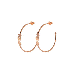 OR-D3 CQS CERCHI ROSATI CON CUO+QUA+STE