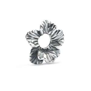 TAGBE-00246 IBISCUS