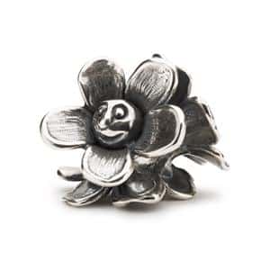 TAGBE-20215 FIORI SORRIDENTI