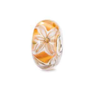 TGLBE-10437 FIORE DI GRAZIA