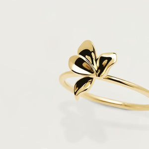 AN01-182-14 PDP BLOSSOM NARCISE GOLD MIS 14