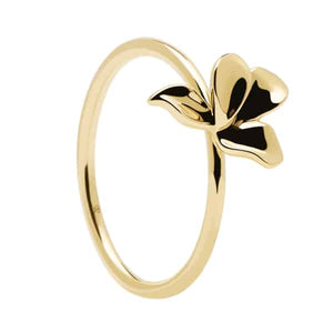 AN01-182-14 PDP BLOSSOM NARCISE GOLD MIS 14