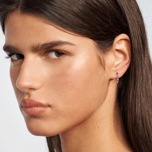 AR01-244-U PDP CAVALIER SCARLET EARRINGS GOLD