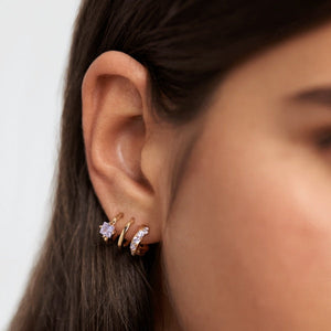 AR01-246-U PDP CAVALIER ROYAL EARRINGS