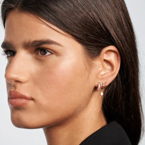AR01-249-U PDP CAVALIER LUMIERE EARRINGS GOLD