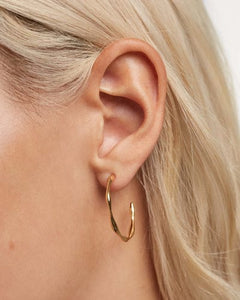 ar01-306-u Five vanilla earrings