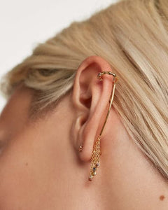ar01-307-u Five pegasus Earrings
