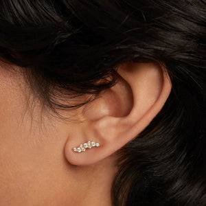 ar01-808-u Natura gold earrings