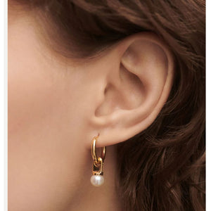 ar01-c25-u orecchini argento dorato la perla hoops