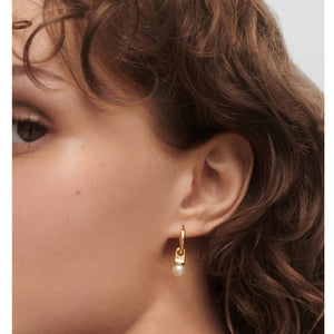 ar01-c25-u orecchini argento dorato la perla hoops
