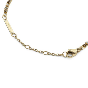 dw00401113 Dw Classic Tennis Bracelet Honey Combo
