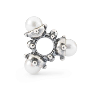 tagbe-00291 Perle di luce