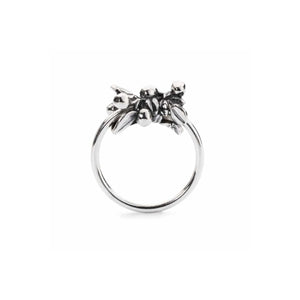 Anello bacche di mirtillo 16