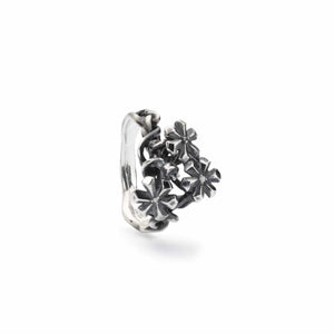 Anello luce di stella 13