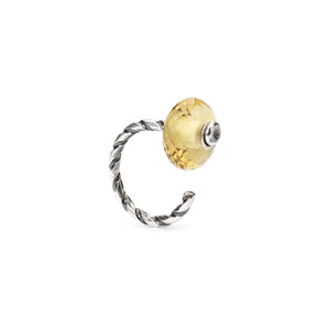 Anello del cambiamento a spirale 12