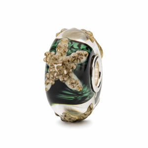 TGLBE-20281 STELLA DI MARE